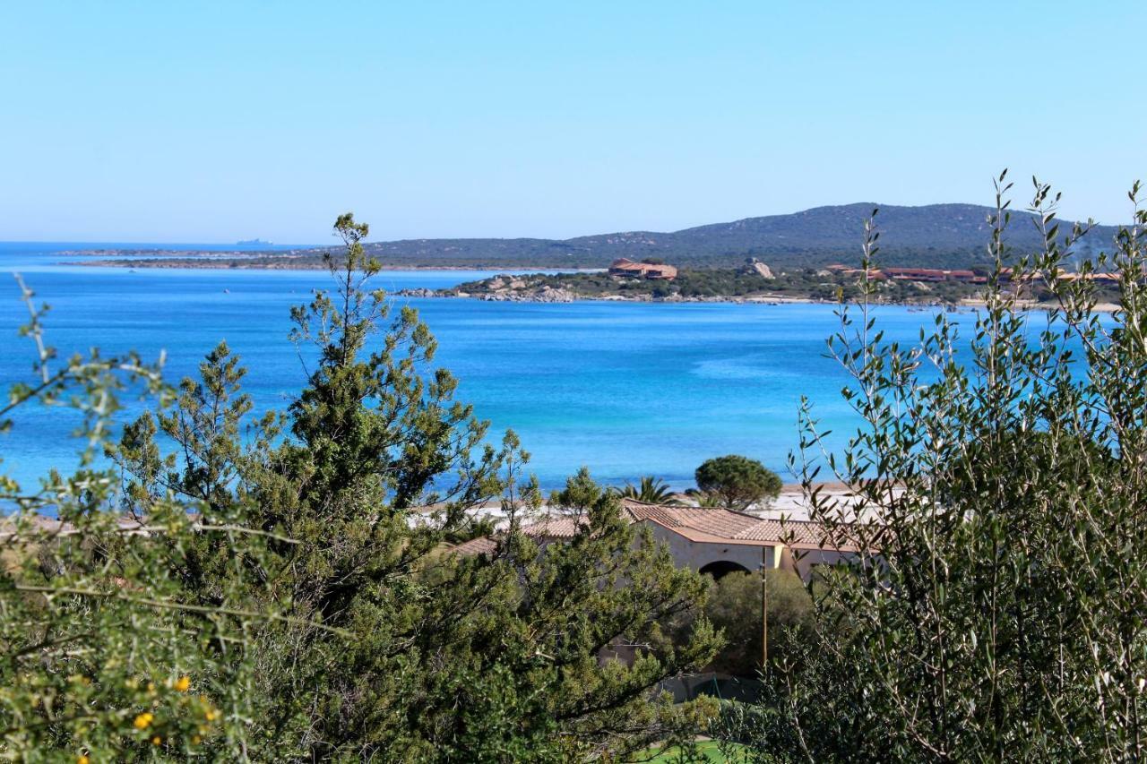 Casa Vacanze Il Cisto - Golfo Di Marinella Villa ปอร์โตโรตอนโด ภายนอก รูปภาพ