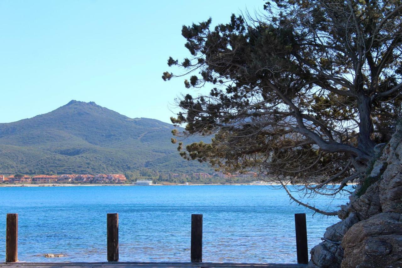 Casa Vacanze Il Cisto - Golfo Di Marinella Villa ปอร์โตโรตอนโด ภายนอก รูปภาพ