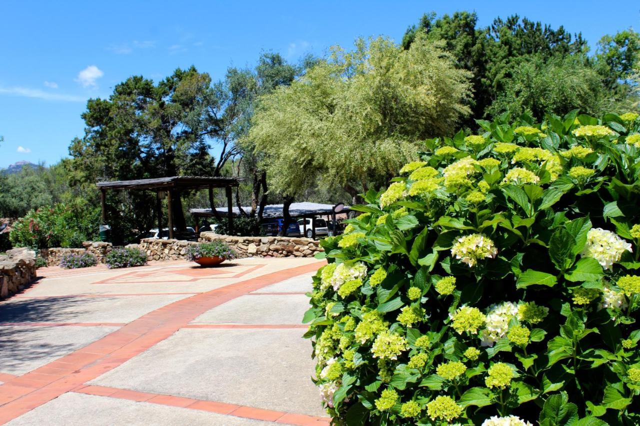 Casa Vacanze Il Cisto - Golfo Di Marinella Villa ปอร์โตโรตอนโด ภายนอก รูปภาพ